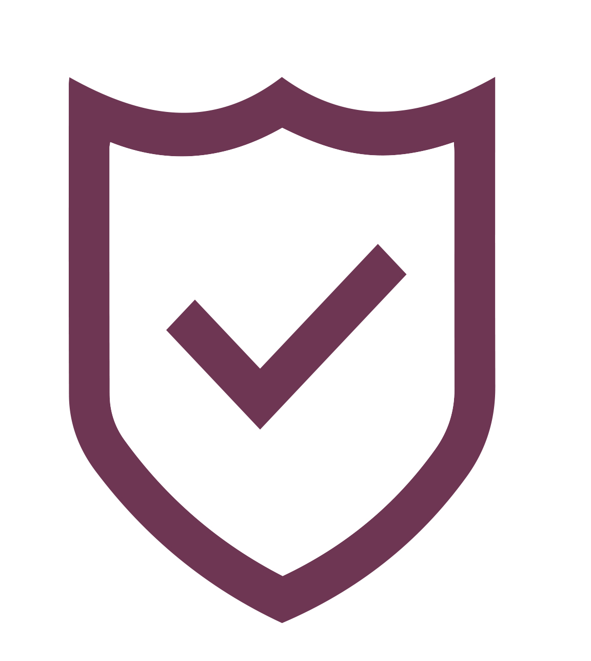 High Quality Asset Protection Icon